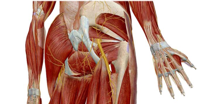 坐骨神経痛の鍼灸